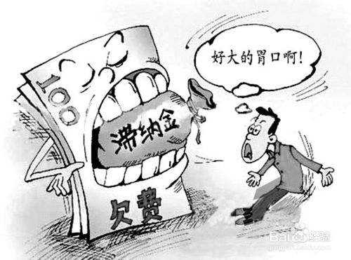 補繳社保滯納金怎么算？ 第1張