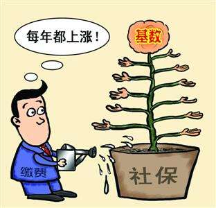 個人和單位繳納的社保，待遇會有什么區(qū)別？ 第1張